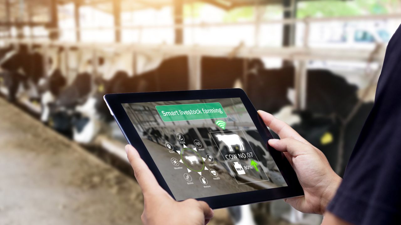 Livestock Management AI: Revolutionising Farming Operations