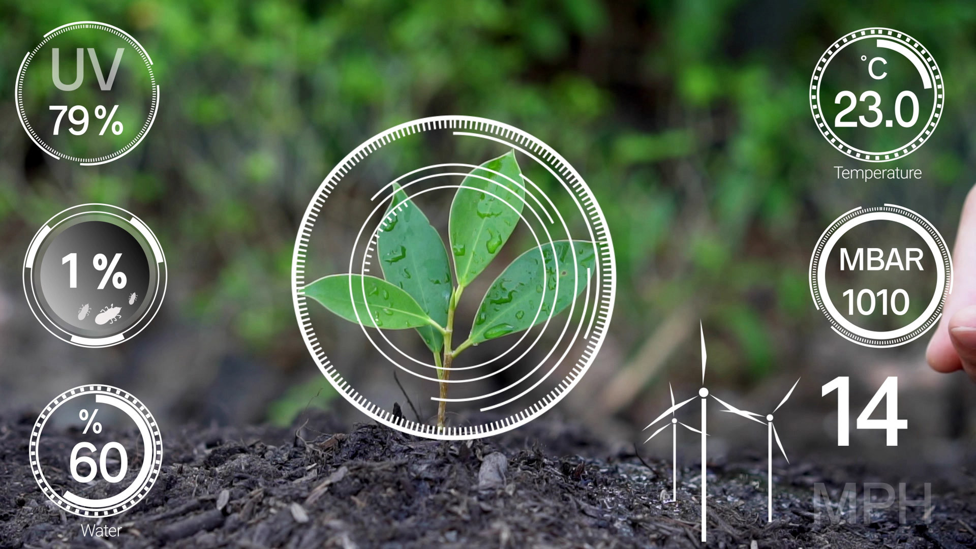 Environmental Monitoring Overlays in AR: Transforming Data Visualisation and Sustainability