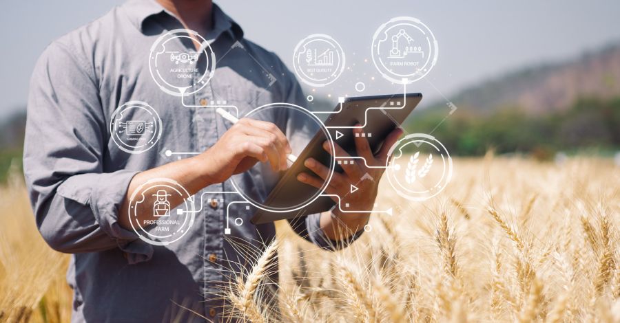 Yield Analysis AI for Optimised Agricultural Production | Spark ...
