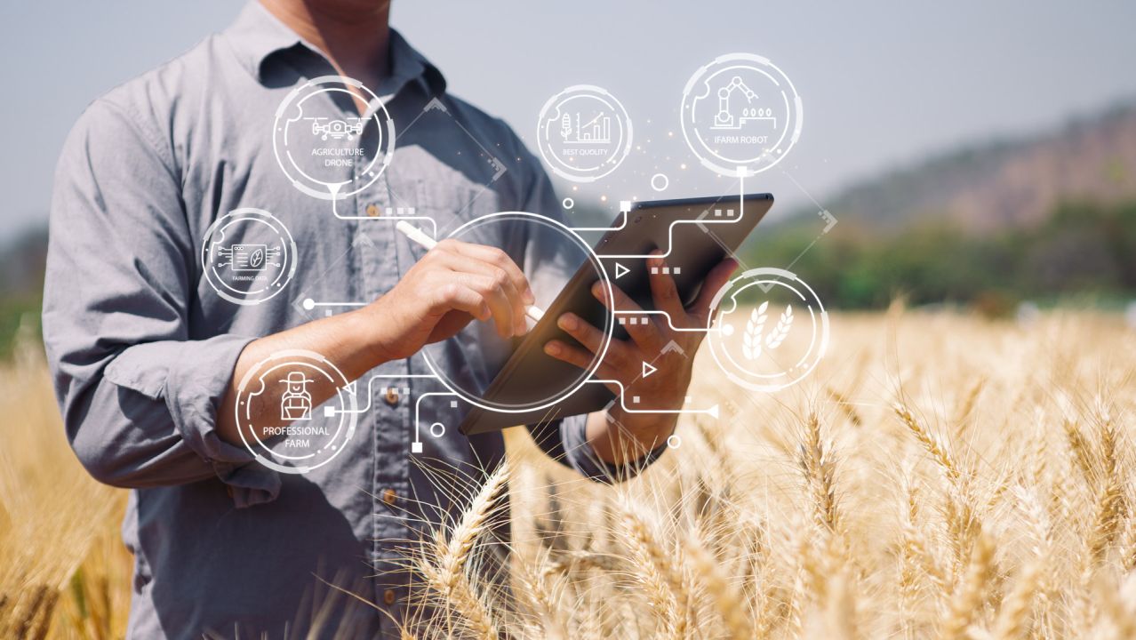 Yield Analysis AI: Revolutionising Agricultural Production